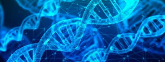 dna.jpg — Programa de Pós-Graduação em Ciências Biológicas